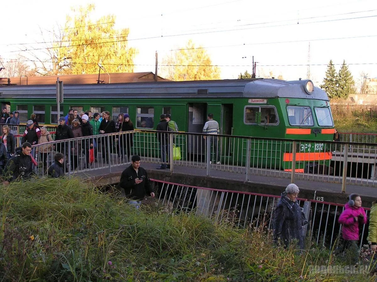 Платформа электричек царицыно. Электричка красный Строитель Царицыно. Люблино платформа Царицыно. Царицыно электрички. Электричка Подольск.