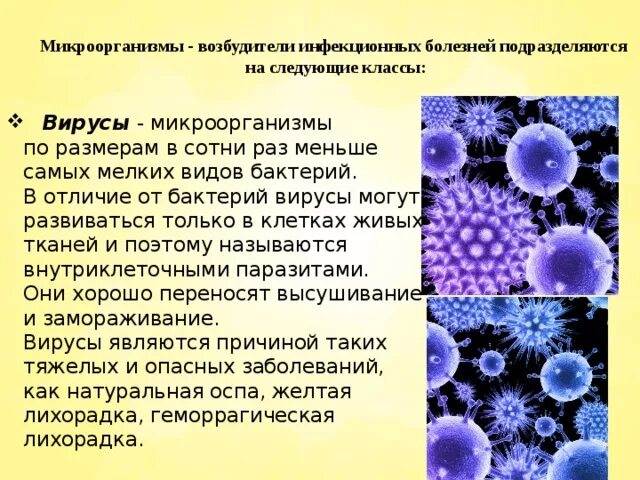 Вирусы возбудители инфекционных заболеваний. Микроорганизмы возбудители заразных заболеваний. Вирусы-мельчайшие возбудители инфекционных заболеваний. Вирусы как возбудители опасных заболеваний. Возбудители инфекционных заболеваний это