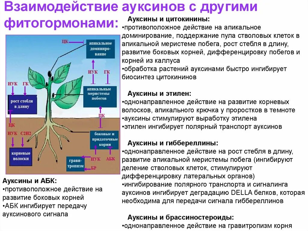 Образование связанное с растениями