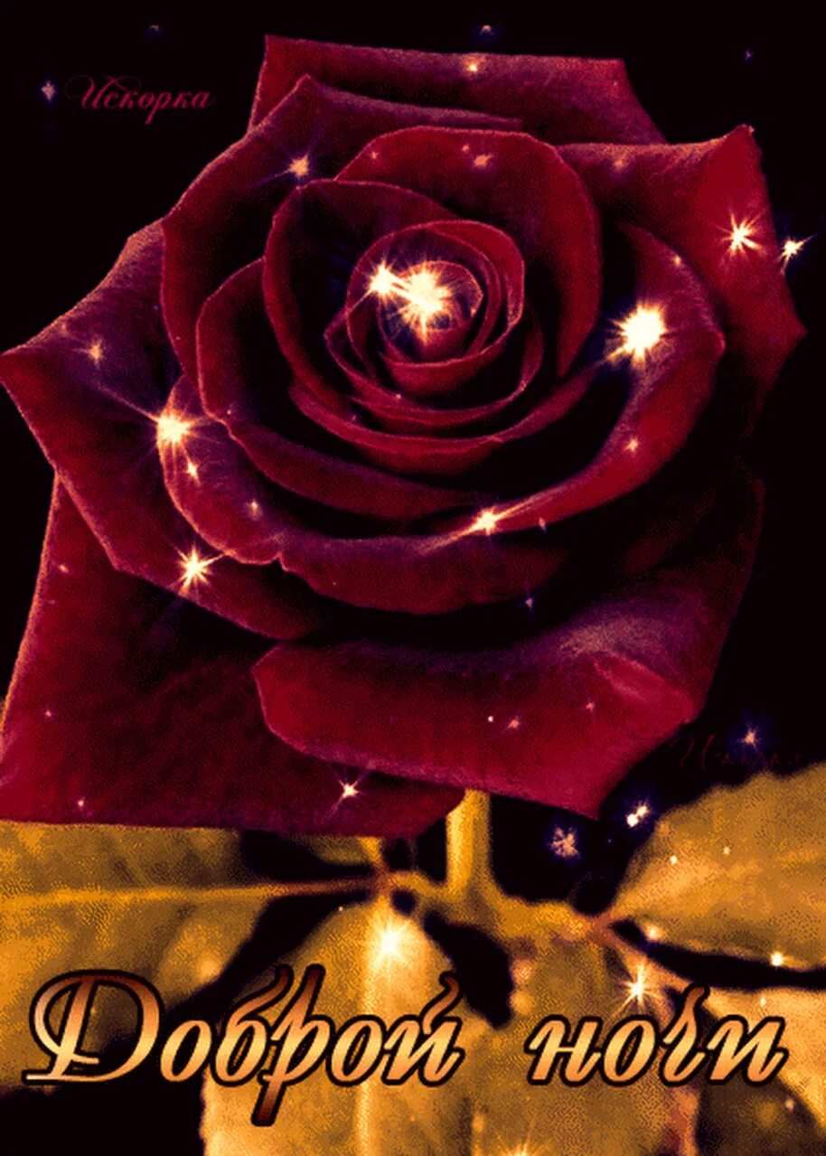 Красивые розы с пожеланием спокойной ночи. Спокойной ночи цветы. Букет белых роз на темном фоне. Доброй ночи букеты роз. Доброй ночи букеты роз.