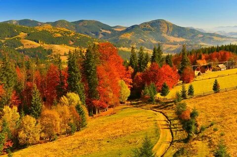 Осенняя красота картинки фото.