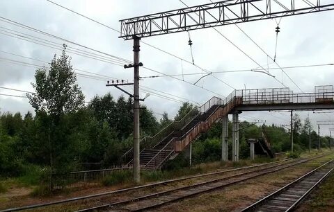 Мшинская