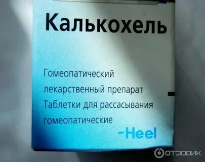 Калькохель отзывы