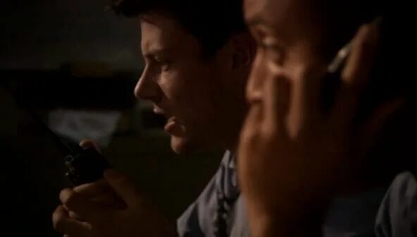 зверь 2007 года. зверь 2007 года. кистеухая свинья мадагаскарская. животное похожее на свинью но волосатое типа волка. грустный олененок.