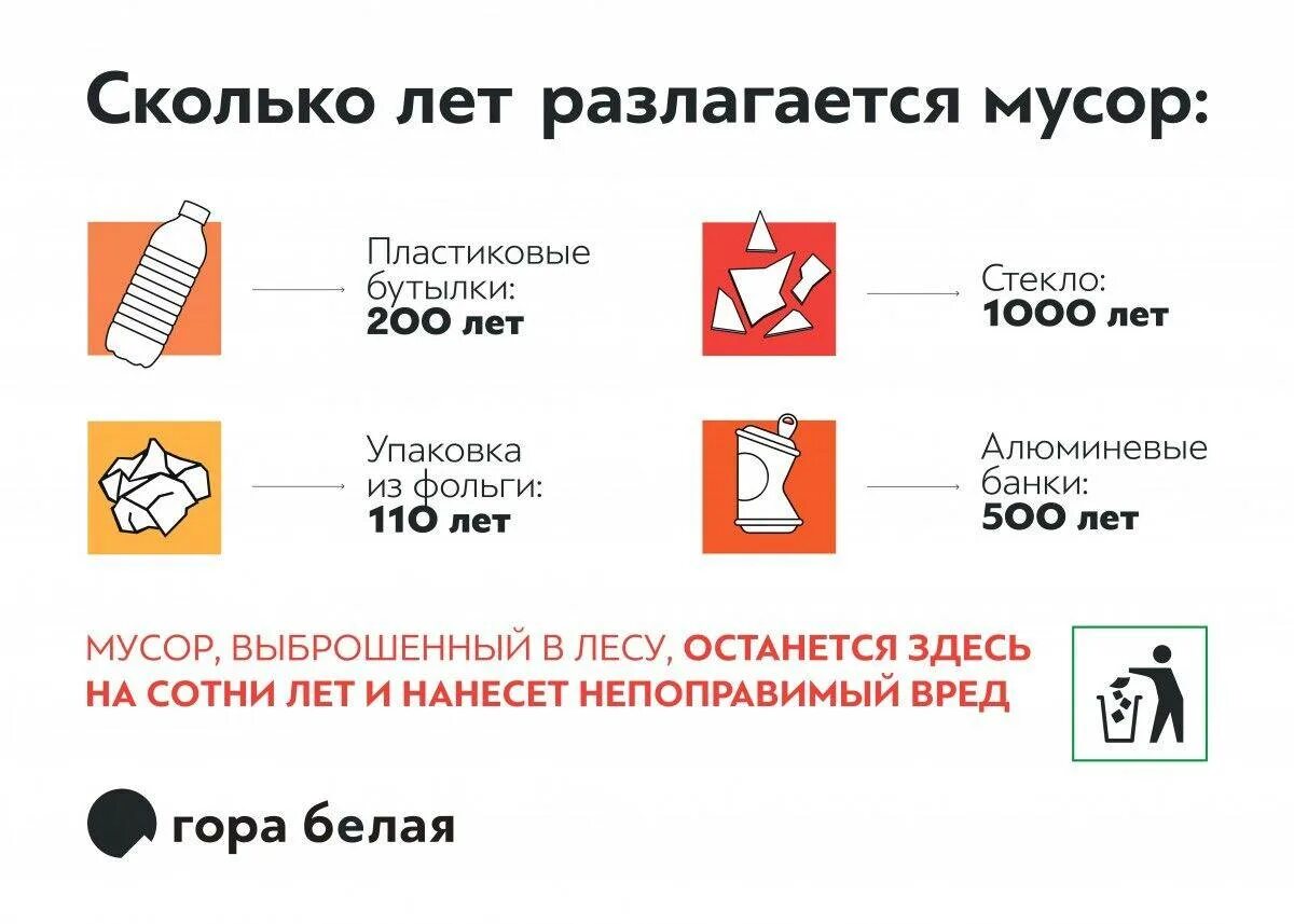 Сколько разлагается пластик. Сколько лет разлагается. Сколько лет разлагаются отходы. Сколько разлагается мусор.