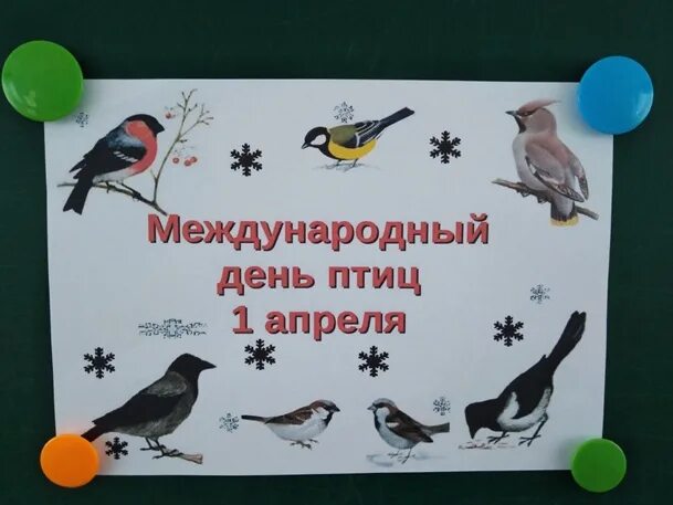 Еще две недели птицы. День птиц. Международный день птиц. Всемирный день птиц лепка. Информационный стенд ко Дню птиц.