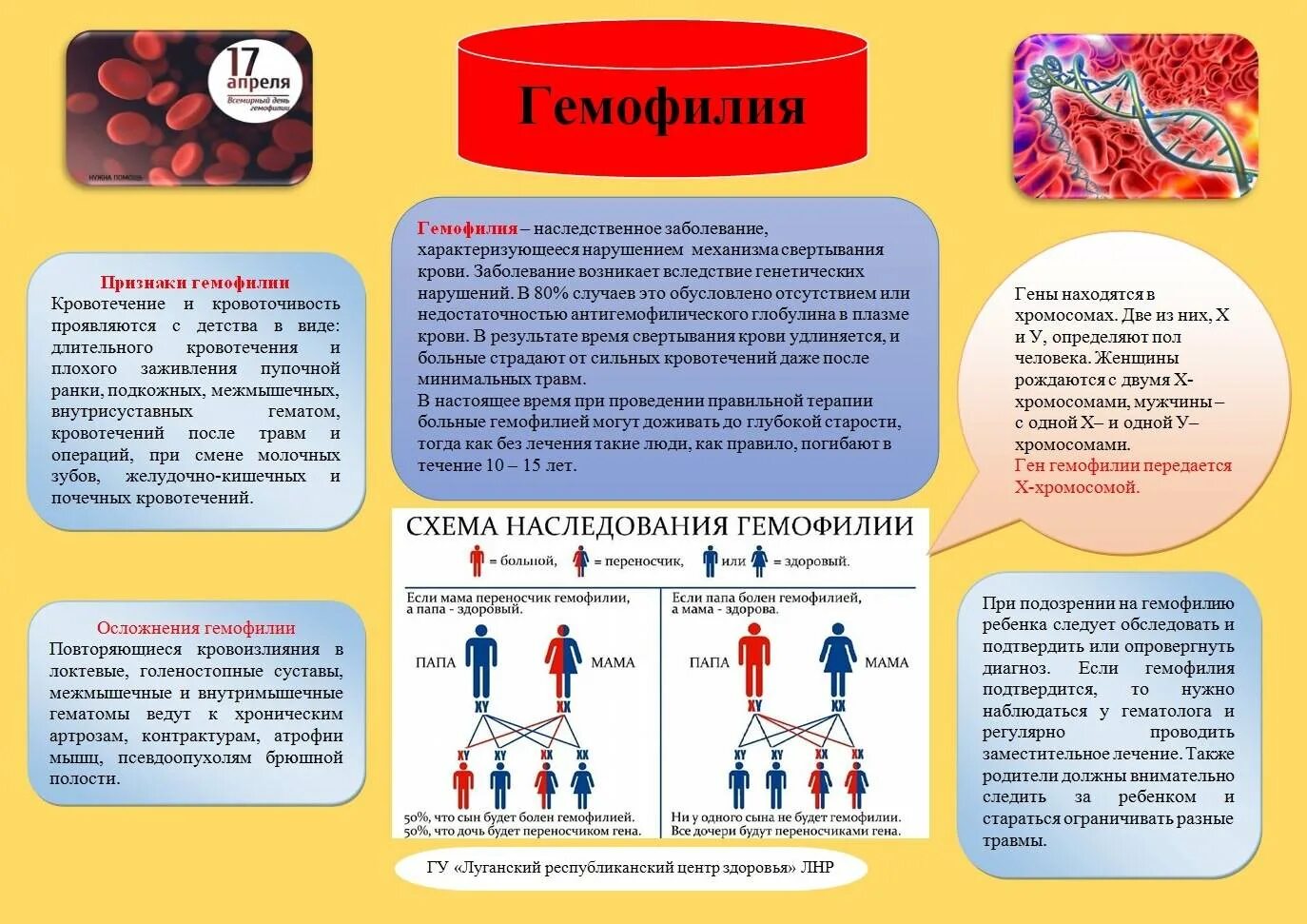 Профилактика кровяных инфекций буклет. Профилактика кровотечений при гемофилии. Гемофилия меры профилактики заболевания. Профилактика гемофилии памятка. Гемофилия рекомендации