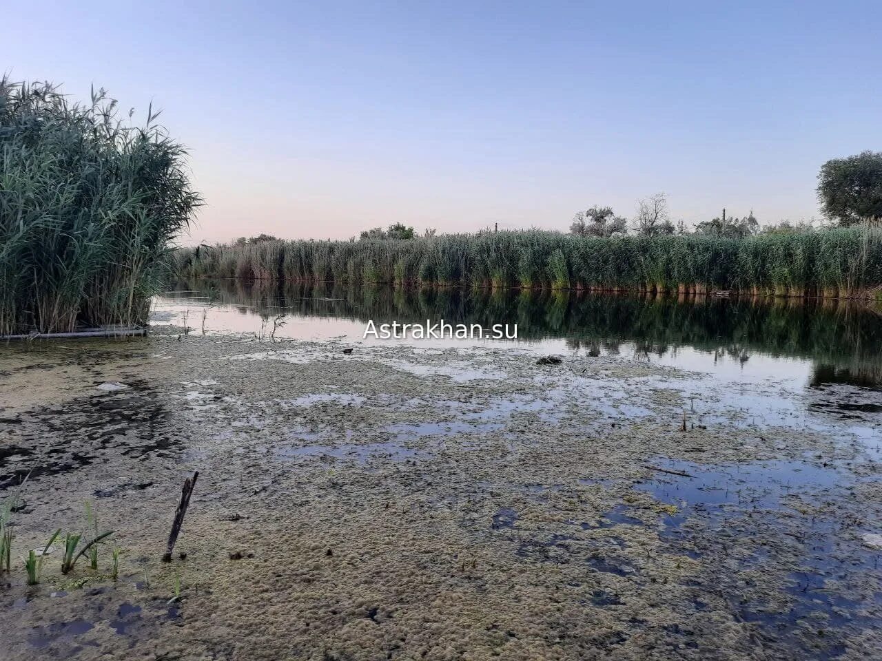 Проточное астраханская область. Икряное астраханская область. Дельта волги. Астрахань водоемы. Астраханская область дельта волги.