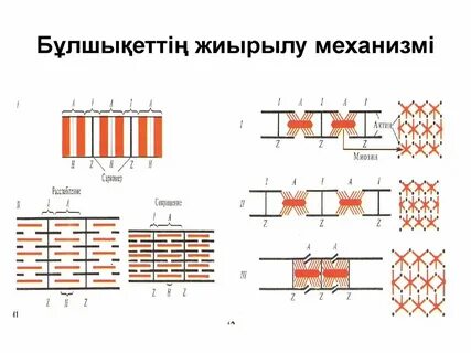 Наталья Андреева порно