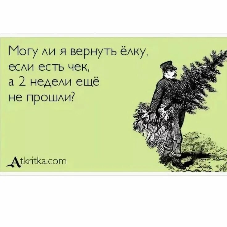 Анекдот про елку. Анекдот про елочку. Цитаты про свидания смешные. Анекдоты про елочку смешные. Требуют вынести