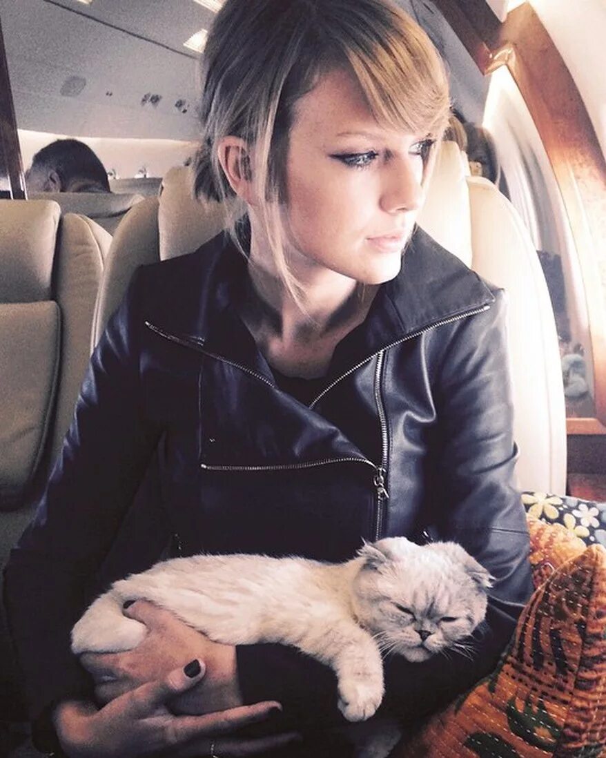 Swift cat. Swift cat