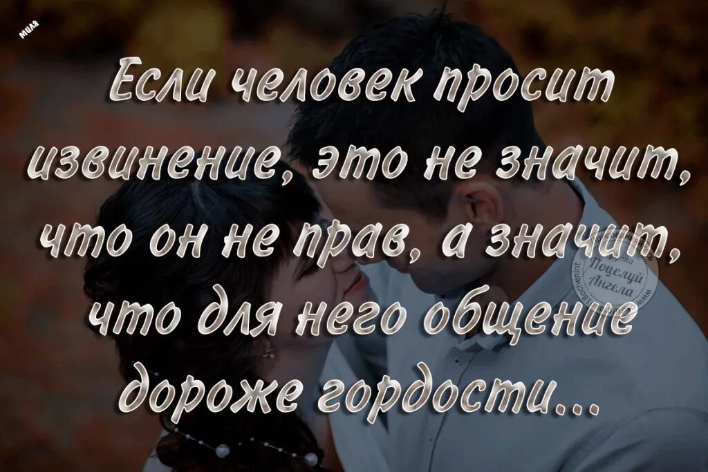 Прости за обиду любимая. Прости меня цитаты. Извинения афоризмы. Статусы про извинения. Простить любимого человека цитаты.