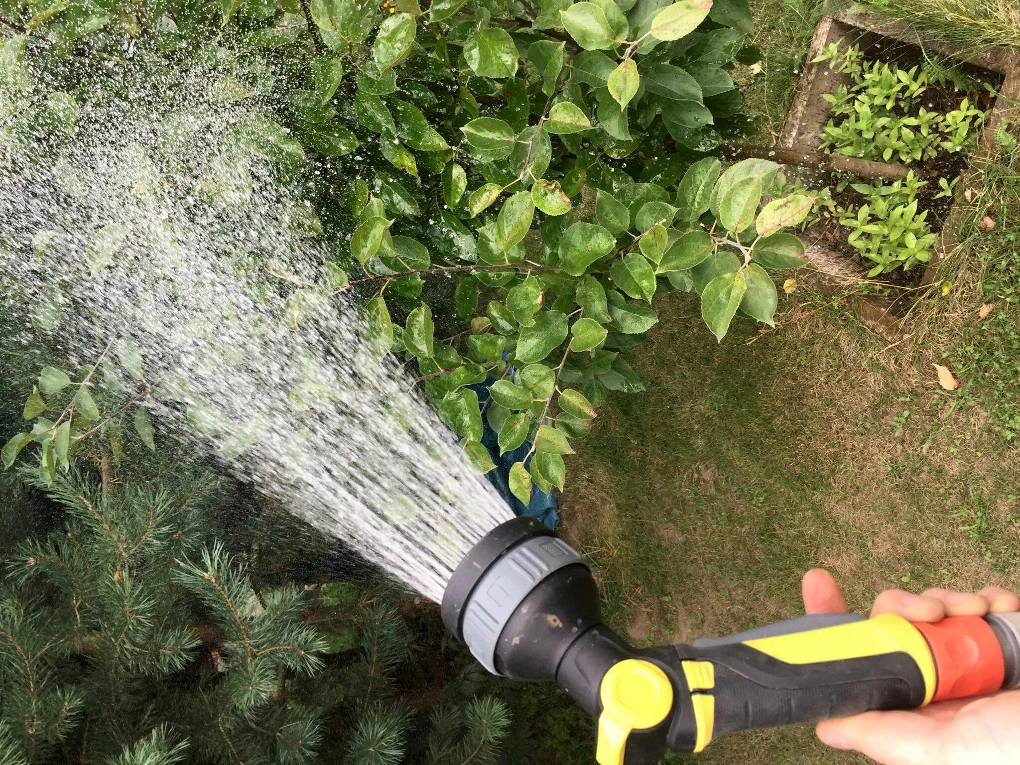 Полив karcher. Мини-мойка karcher 2.645-196.0.