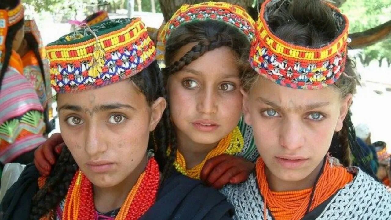 Хунзы (буриши, хунзакуты). Амазахи берберы пуштуны. Памирцы калаши. Этнические группы семьи