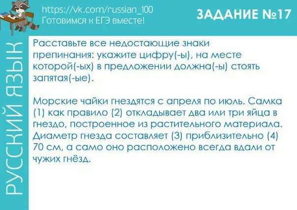 Задание 17 русский. 17 Задание ЕГЭ русский язык. Задание 17 ЕГЭ по русскому языку. Задание 17 ЕГЭ русский теория. Практика задания 8 егэ русский 2023