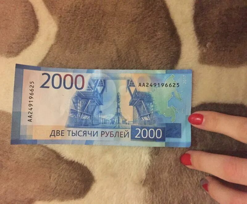 1000 рублей точек. 2000 Рублей. Животные на 2000 купюре. Олимпийские 2000 рублей. Космодром Восточный 2000 рублей.