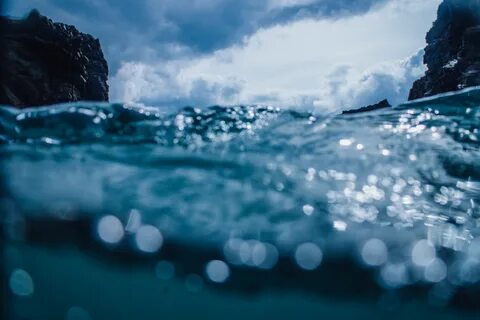 Океан жизни вода