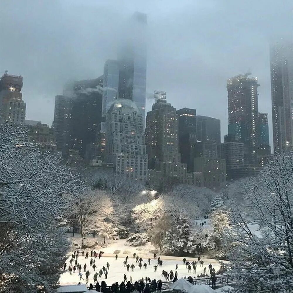 sarah on Twitter in 2021 City aesthetic, New york life, Nyc aesthetic