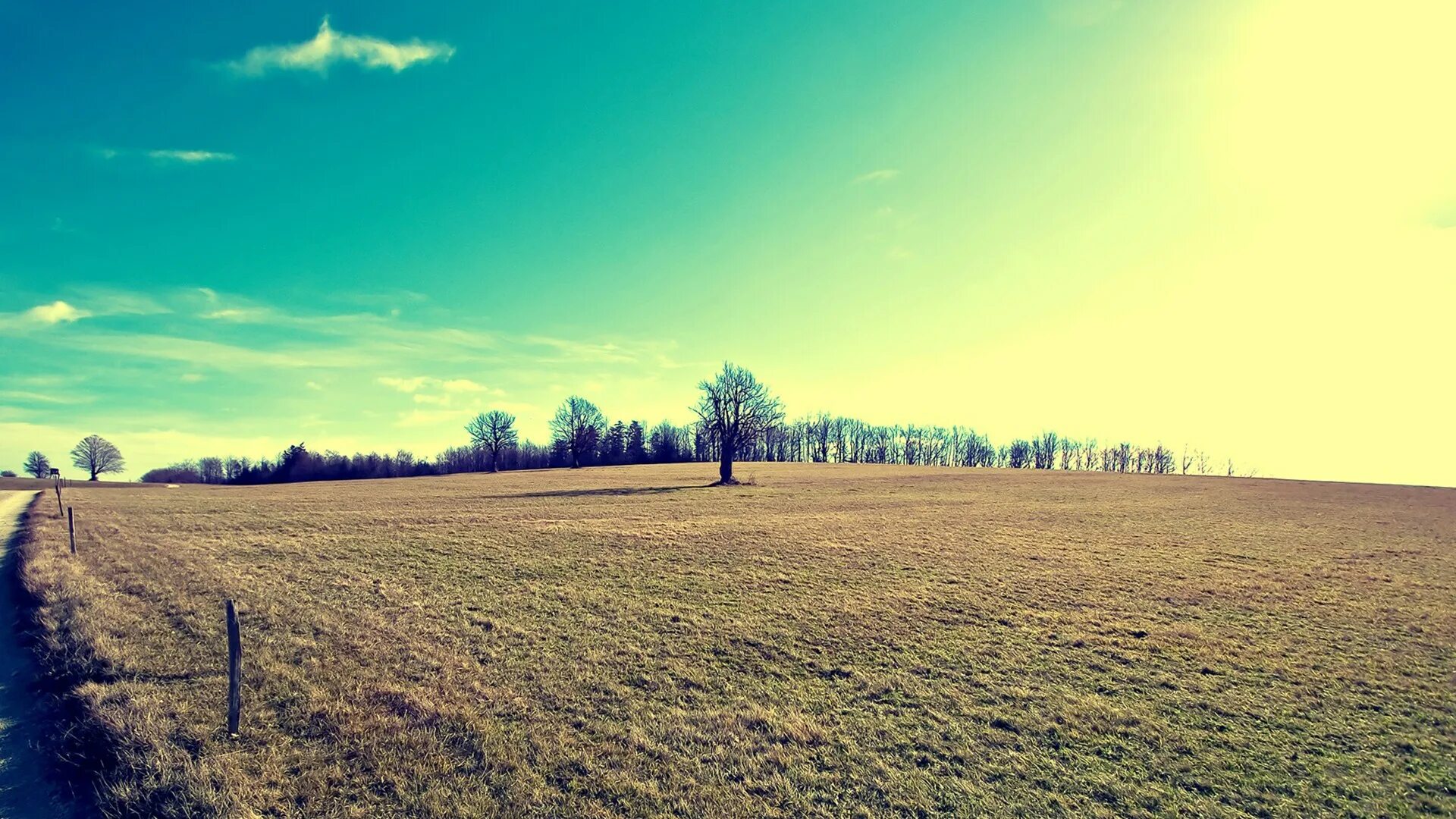 Одинокое дерево. Заканчиваются сезонные работы поля пустеют вариант. Заканчиваются сезонные работы поля пустеют вариант. Август природа. Раскрыть скобки, вставить пропущенные буквы и знаки препинания.