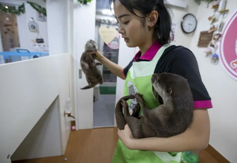 Контактный зоопарк с выдрами. Контактный зоопарк с выдрами. Новый жестока. Новый жестока. Дэвид харбор 2022.