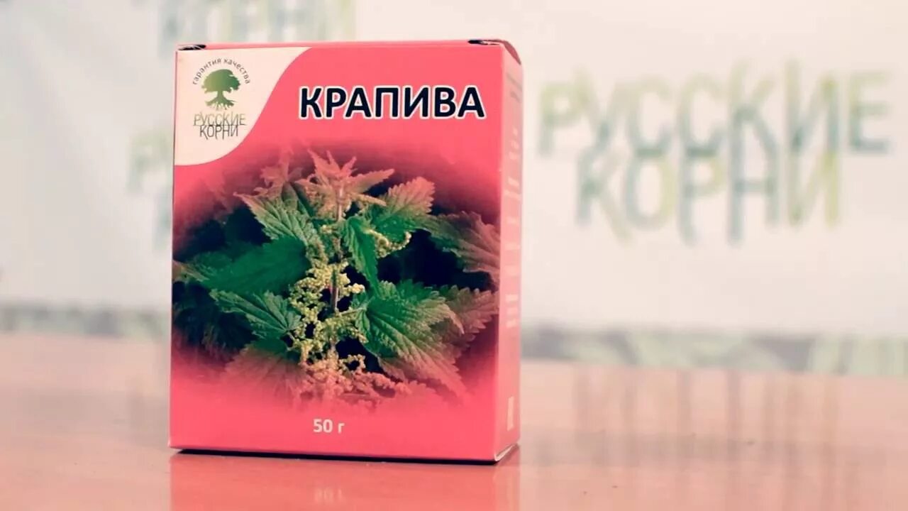 Крапива при маточном. Корень крапивы в аптеке. Крапива листья русские корни. Корень крапивы двудомной в капсулах. Корни крапивы Хорст.