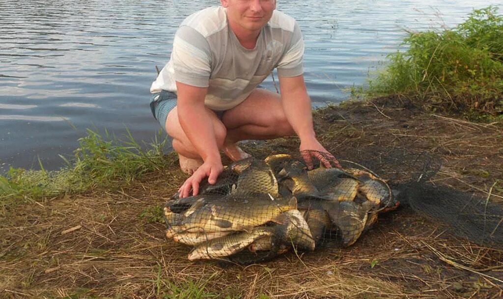 Рыбалка на Хопре Саратовская область Балашовский район. Рыбалка на Хопре Балашов. Рыбалка на реке Хопер в Саратовской области. Река Хопер Балашовский район. Пугачев клев