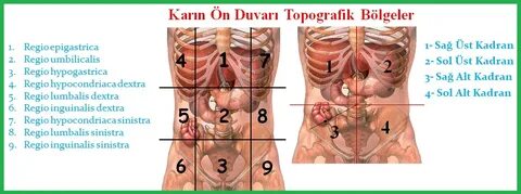 Orqa tarafdagi fotosuratni sorish