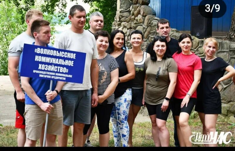 Волпа волковысский