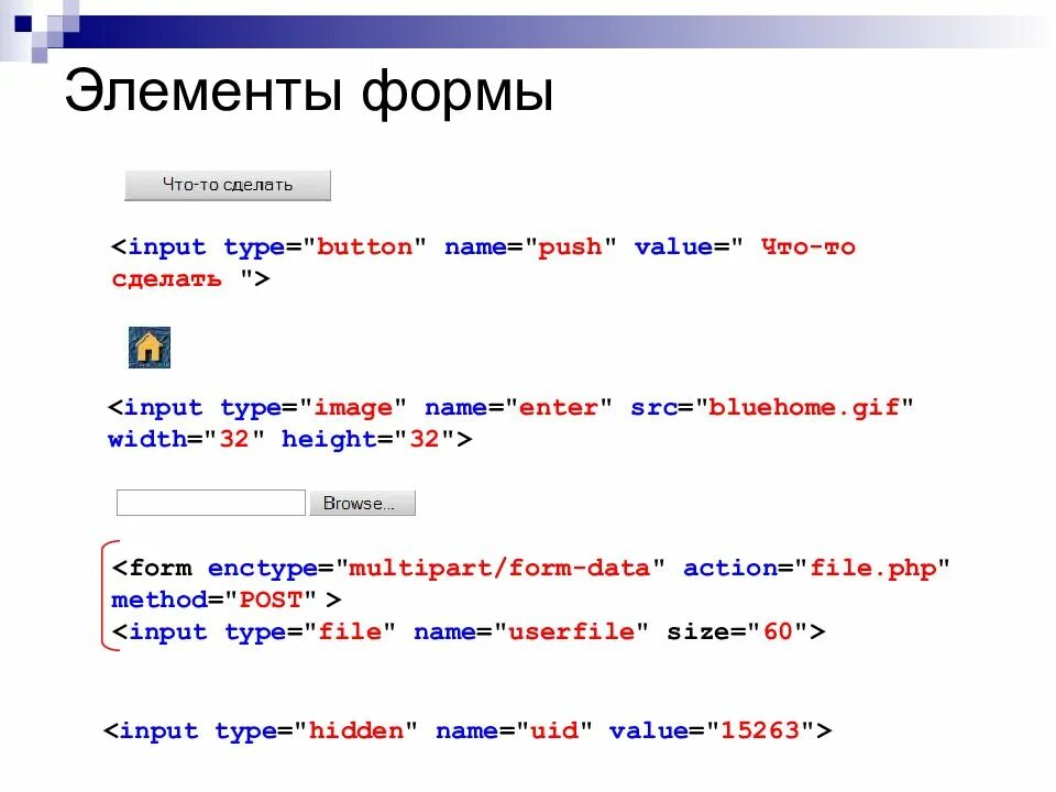 Элементы формы html. Основы html. Ячейки форма html. Основы html и CSS для начинающих презентация.