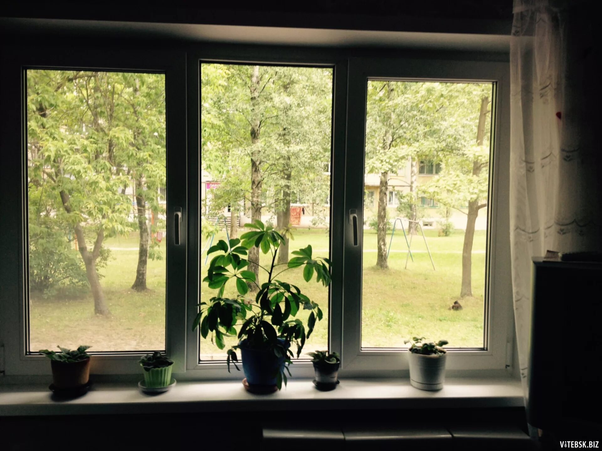 Window class