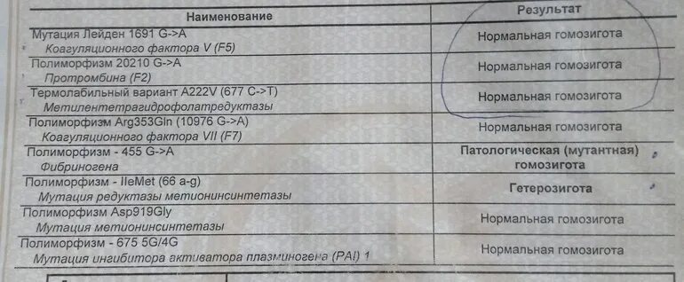 Мутантная гомозигота. Патологическая гомозигота. нормальная гомозигота что это значит.
