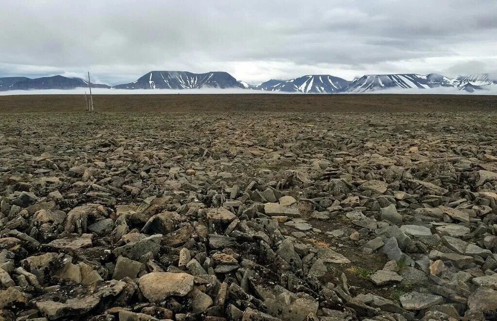 Почвы арктических пустынь в северной америке