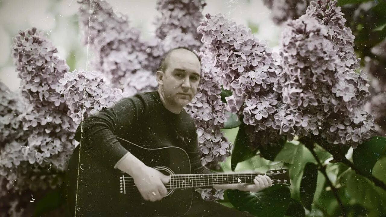 Песня flowers hendrik. Одинокая ветка ветка сирени. Ветка сирени песня. Песня одинокая ветка сирени.