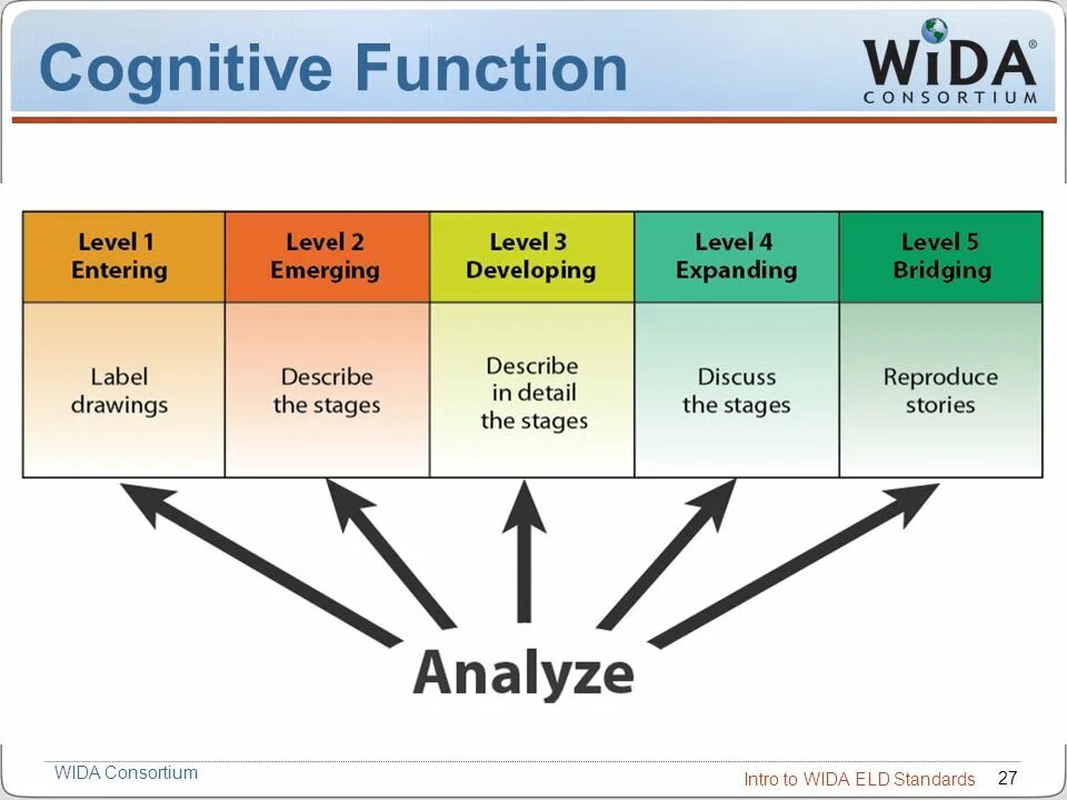 Cognitive functions. Ne cognitive function. Info cognitive functions. Cognitive functions explanation.