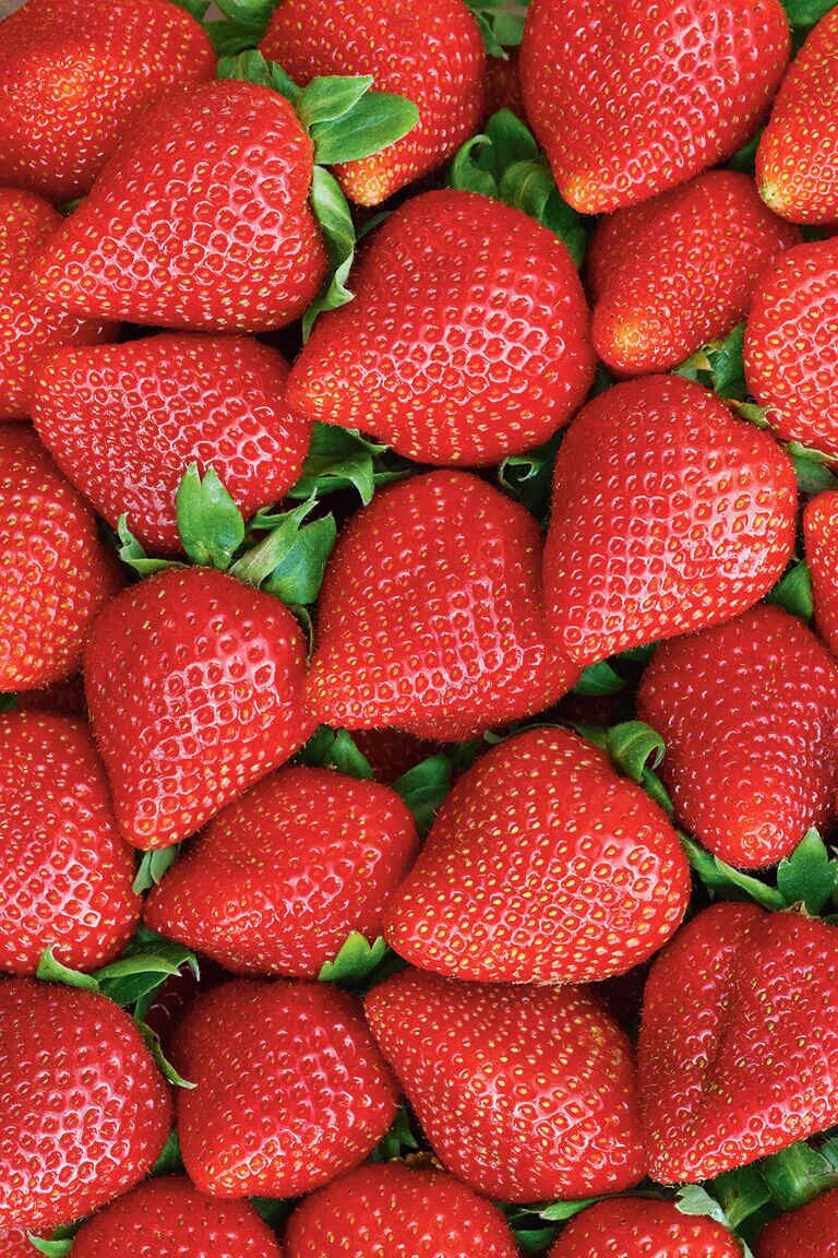 Strawberry spring. Strawberry spring