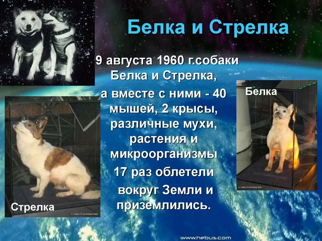 Классный час космонавтика 4 класс. Информация о космосе для детей. Классный час на тему космос. День космонавтики презентация. Презентация о дне космонавтики.