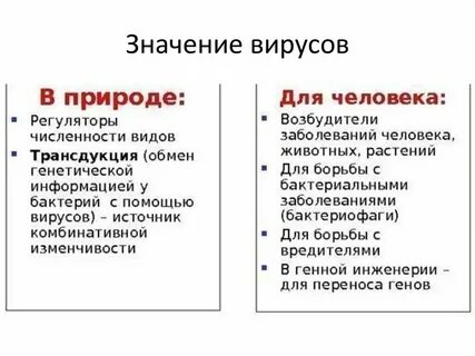 Роль вирусов в жизни человека кратко