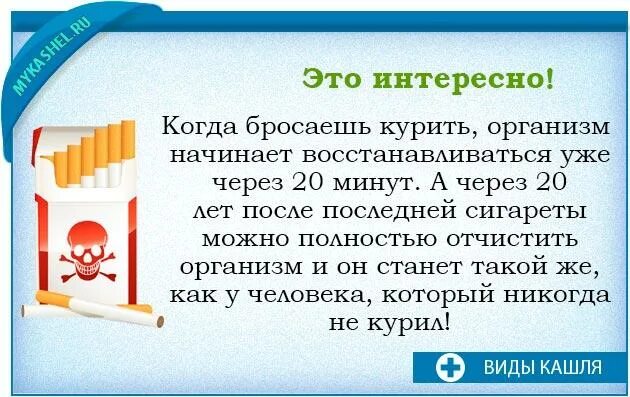 Как лечить кашель курильщика. Сухой кашель у курильщика. постоянный сухой кашель у курильщика. таблетки от кашля курильщика. бросил курить кашель замучил что делать.