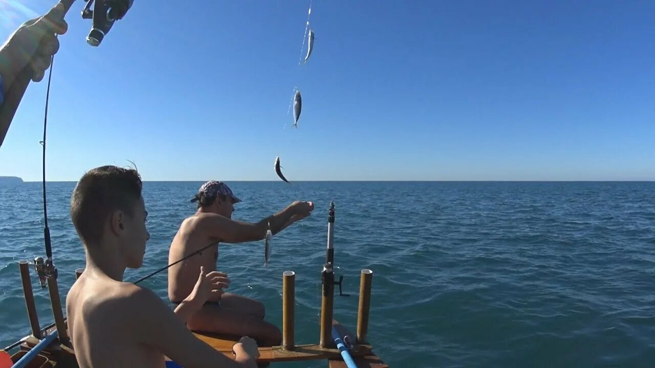 Ловля спиннингом черное море. Рыбалка на ставриду в черном море с берега. На что ловится ставрида в черном море. Ловля ставриды в черном море. Удочка на ставриду.