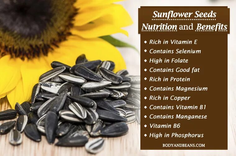 Есть семечки на ночь. Семечки. Sunflower Seeds nutrients. Ctvtxrb DJ CYT. Коричневая семечки подсолнечника.