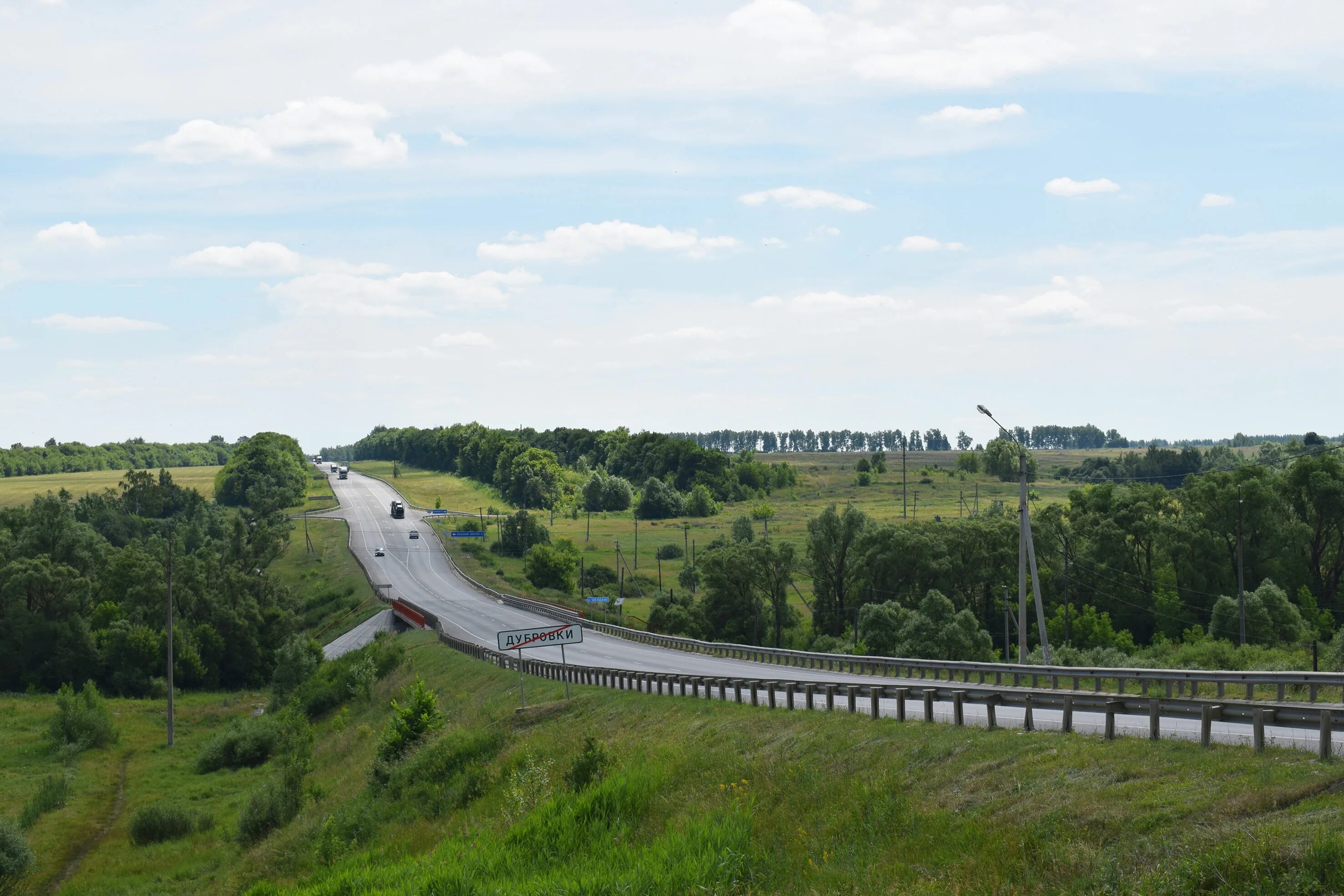 Обл м5. Пензенская область м5. Трасса м5 Пенза. Трасса Пенза Спасск. Питомник на м5 Пенза трассе.