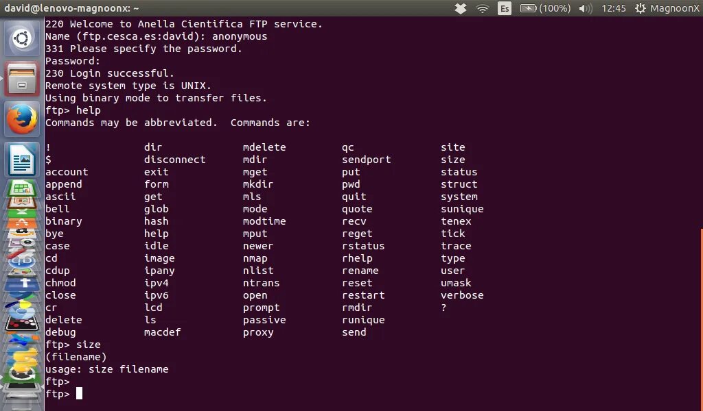 Ftp server ubuntu. Ftp linux. команда help в linux. ftp сервер linux с web интерфейсом. ftp в unix.