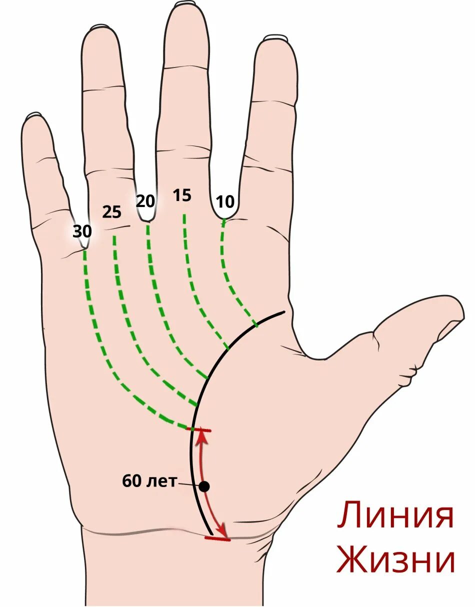 Определить человека по руке