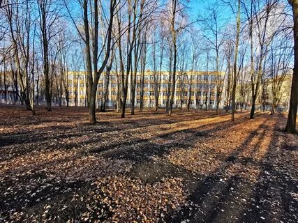 На картинке поздняя осень или ранняя
