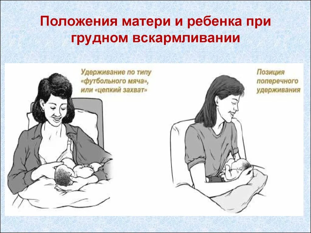 Положение ребенка при кормлении. Правильное положение ребенка при кормлении. положение при кормлении. положение матери при кормлении ребенка.