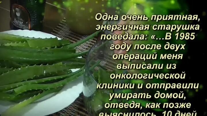 Смесь лечебная : алоэ, кагор, мед. Алоэ мед кагор эта смесь. Лекарство из алоэ. Настойка из кагора алоэ и меда. Рецепт настойки алоэ кагор