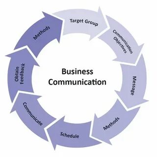 What is the business type