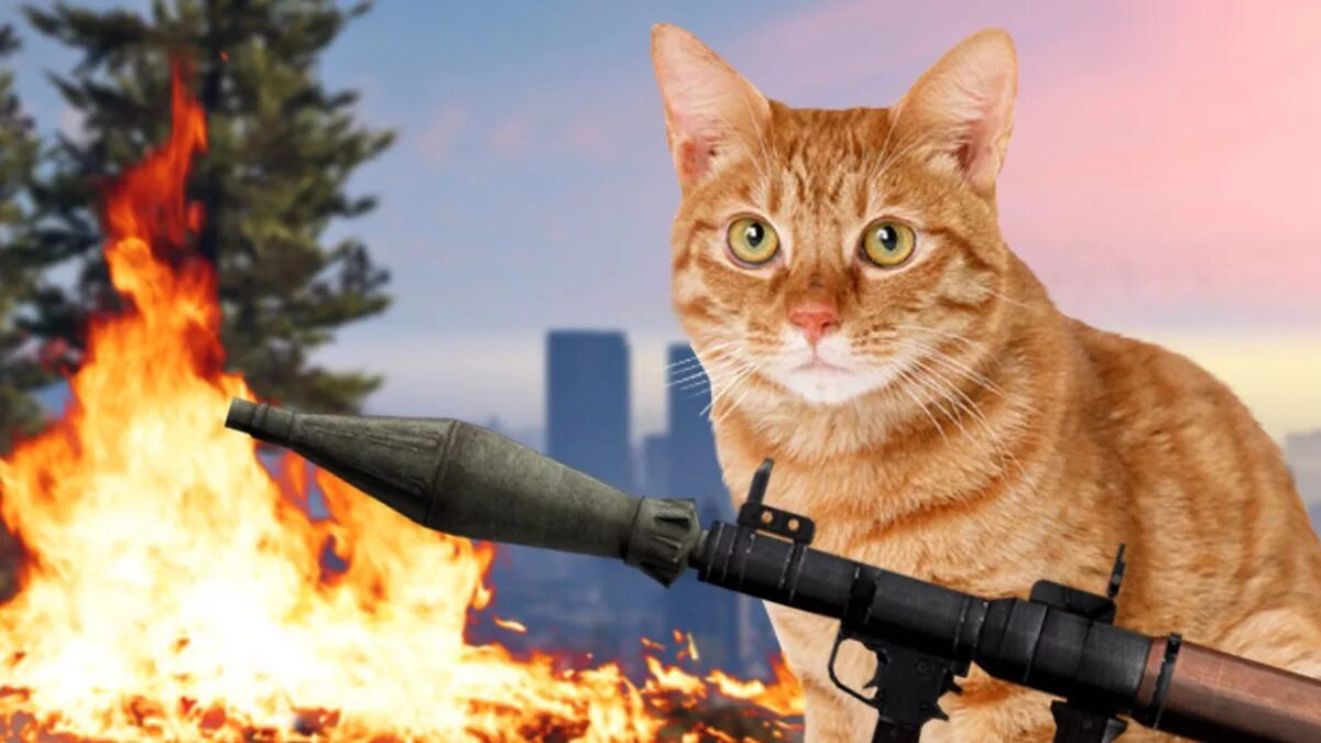 Кот гейм. Крутые коты. кот геймер. котики игроманы. кот из гта.