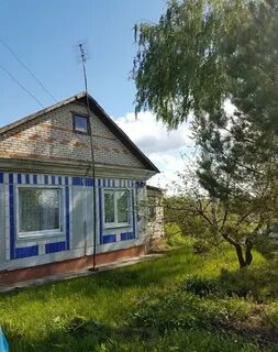 Авито волово