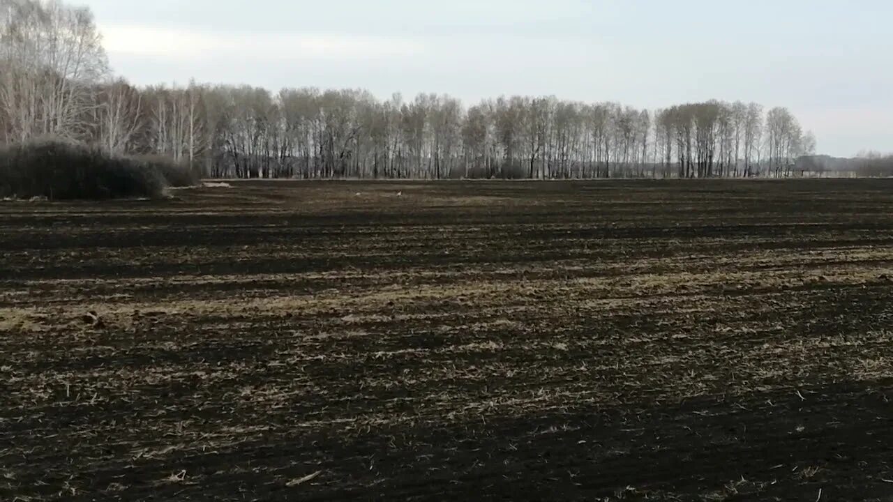Деревня червянка. Чунский старые фото. Червянка иркутская обл. Червянка. Погода в червянке иркутская.